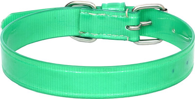 

PETSTAR Dog Everyday Collar(, Green