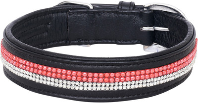 

PETSTAR Dog Everyday Collar(, Black