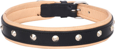 

PETSTAR Dog Everyday Collar(, Black