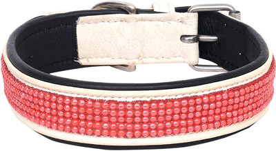 

PETSTAR Dog Everyday Collar(, White