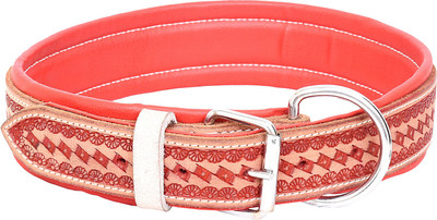 

PETSTAR Dog Everyday Collar(, Red