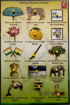 

WISSEN Wooden National Symbols Of India Knob Puzzle Tray(1 Pieces)