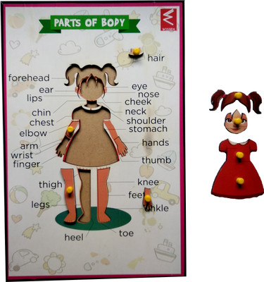 

WISSEN Wooden Parts Of Body Female Knob Puzzle Tray(1 Pieces)