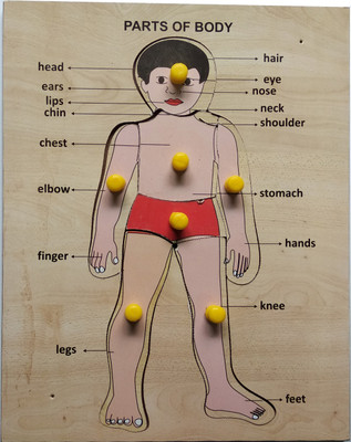 

WISSEN Economy Wooden Parts of body learning puzzle(1 Pieces)
