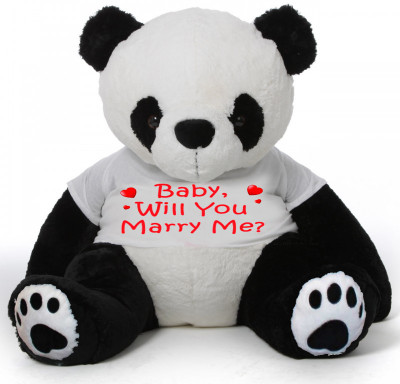 

CLICK4DEAL Big Teddy Bear 5 Feet Long Wearing Will U Marry ME T-Shirt ( Bear 152 cm ) with Free Heart Shape Pillow Brown - 152 cm(black & white)