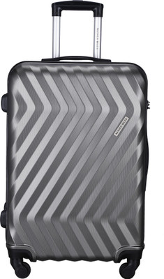

Nasher Miles Lombard  Check-in Luggage -  inch(Grey