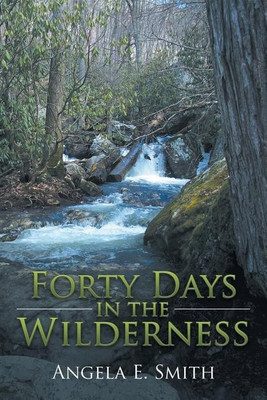 Forty Days in the Wilderness(English, Paperback, Smith Angela E)