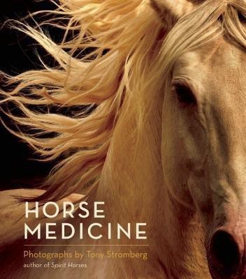 Horse Medicine(English, Hardcover, Stromberg Tony)