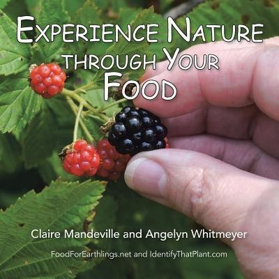Experience Nature Through Your Food(English, Paperback, Mandeville Claire)