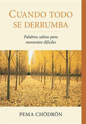 Cuando todo se derrumba (When Things Fall Apart)(Spanish, Paperback, Chodron Pema)