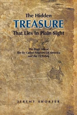 The Hidden Treasure That Lies in Plain Sight(English, Paperback, Shorter Jeremy)