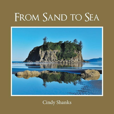 From Sand to Sea(English, Paperback, Shanks Cindy)