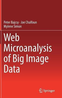 Web Microanalysis of Big Image Data(English, Hardcover, Bajcsy Peter)