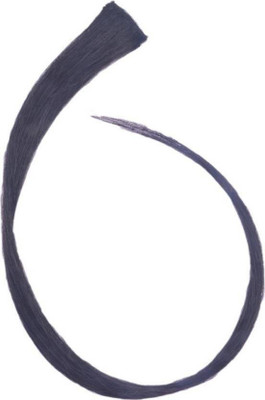 

INAAYA Party Wear Coloured Extension For Women, Streaks For Girls, Black, Pack Of 1 Hair Extension