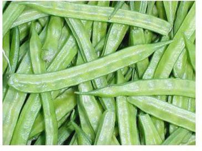 sporos CLUSTER BEANS Seed(50 per packet)