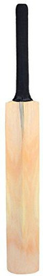 

W SIGNATURE Master Kashmir Willow Cricket Bat(, .900 kg