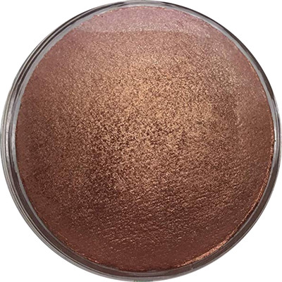 

Cameleon Gradient Baked blusher(02)