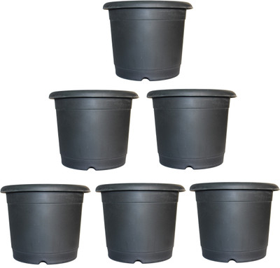 Synergy Plast Decorative and Durable Quality Plant Container Set(Pack of 6, Plastic)