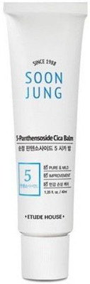 

Etude House SoonJung 5 Panthensoside Cica Sleeping Pack(15 ml)