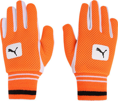 

Puma EVO WK cotton inner Batting Gloves (, White