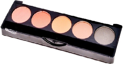 

Imported 5 Color Professional Eye Shadow Palette Dazzling Eyes (03) 15.6 ml(Glitter Light)