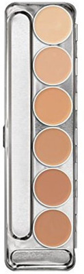 

PAC 6 Color Derma Plus Make-Up Palette Foundation(Multicolor)