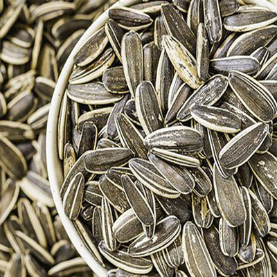 

Parrots Wizard Striped Sunflower Seeds High quality 1000 g Dry Bird Food