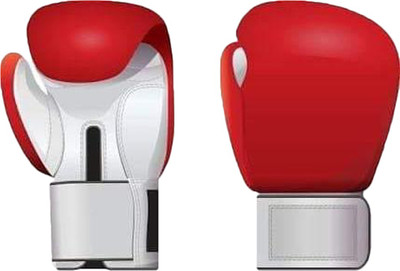

SK SKBG-07 LARGE Boxing Gloves (, Red, Red;white