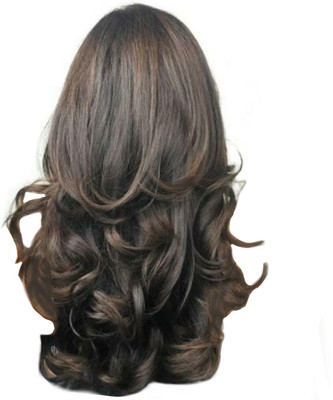 Alizz Gorgeous 10second style perfectly hidden Hair Extension