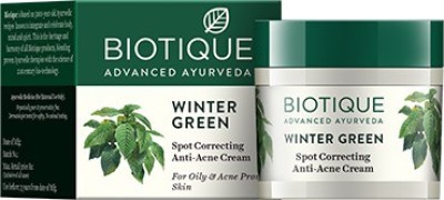 BIOTIQUE Bio Winter Green Spot Correcting Anti Acne Cream(15 g)