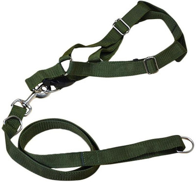 

ShivExim Dog Harness & Leash(, Green