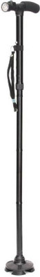 

Zr1 Walking Stick Walking Stick