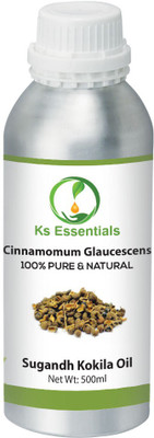 

Ks Essentials 100% Pure Sugandh Kokila Oil (Cinnamomum glaucescens) Natural Therapeutic Grade(500 ml)