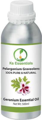 

Ks Essentials 100% Pure Geranium Essential Oil 10ml (Pelargonium graveolens) 100% Natural Therapeutic Grade(500 ml)