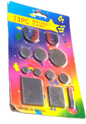

OM Nawani School Project 12 Pcs Assorted Magnet Game Set(Black)