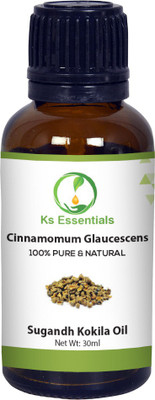 

Ks Essentials 100% Pure Sugandh Kokila Oil (Cinnamomum glaucescens) Natural Therapeutic Grade(30 ml)