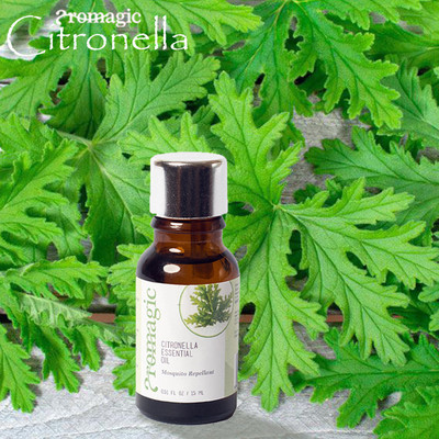 

aromagic Citronella Essential Oil(15 ml)