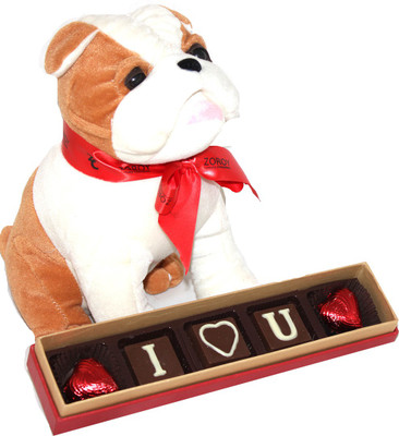 

Zoroy Luxury Chocolate Valentines day Puppy soft toy holding a"ILU" message chocolate box Combo(90 g)