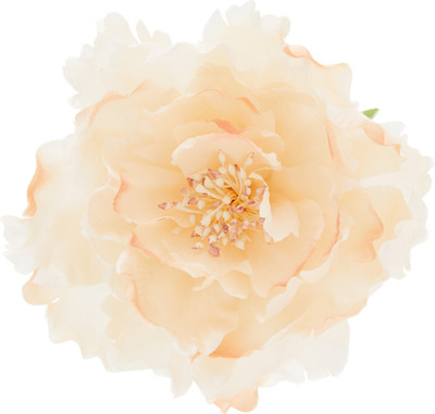 Accessorize MN-58665915001 Hair Clip(Beige)