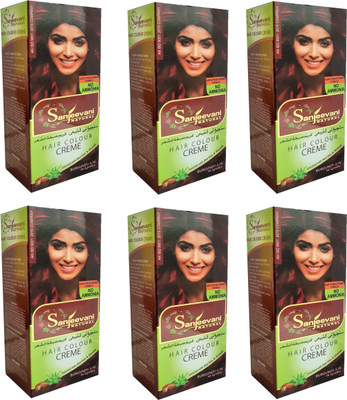 

SANJEEVANI NATURAL BURGUNDY Hair Color Creme For Women & Men NO AMMONIA (Pack Of 6) Hair Color(Burgundy)