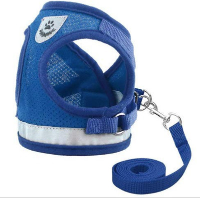 

Aqua Dog Harness & Leash(, blue