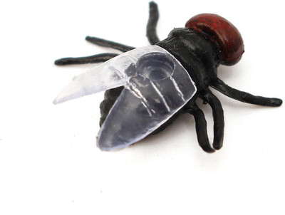 

BuyChoice FPNV1A078 0 Magic Tricks(Age: NA)