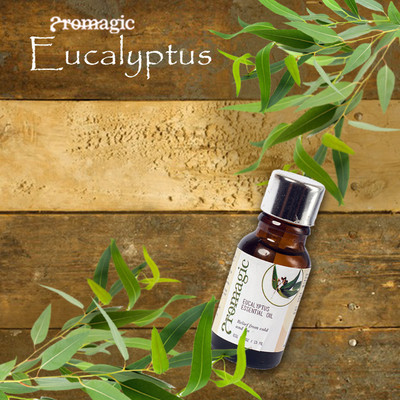 

aromagic Eucalyptus Essential Oil(15 ml)