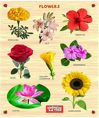 

Webby Premium Wooden Flowers Educational Puzzle Toy(9 Pieces)
