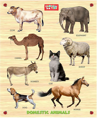 

Webby Premium Wooden Domestic Animals Educational Puzzle Toy(9 Pieces)