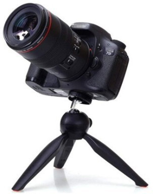 

Clairbell GVL_549G_YT-228 Tripod(Black, Supports Up to 1500 g)