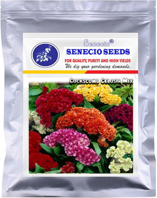 SENECIO® Cockscomb Celosia Mix Seed(20 per packet)