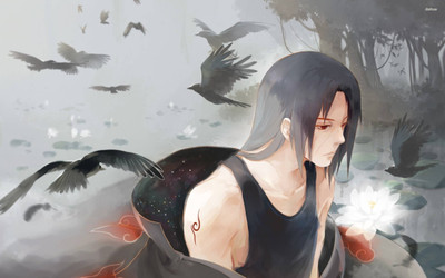 

Akhuratha Naruto Fine Quality Wall Poster Paper Print(12 inch X 18 inch, Rolled)