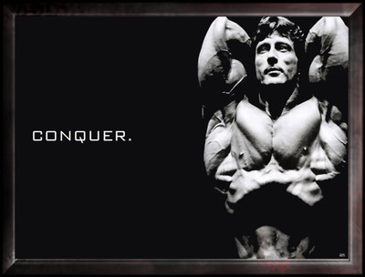 

Akhuratha Conqueror Fine Quality Wall Poster Paper Print(12 inch X 18 inch, Rolled)