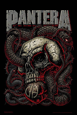 

Akhuratha Pantera Fine Quality Wall Poster Paper Print(12 inch X 8 inch, Rolled)